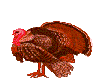 Imagen-animada-Pavo-17.gif