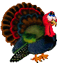 Imagen-animada-Pavo-21.gif