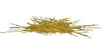 Imagen-animada-Pavo-25.gif