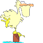 Imagen-animada-Pelicano-01.gif