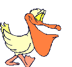 Imagen-animada-Pelicano-05.gif