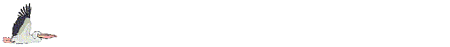 Imagen-animada-Pelicano-13.gif