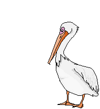 Imagen-animada-Pelicano-17.gif