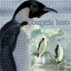 Avatar-Pinguino-29.gif