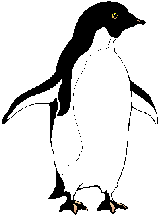 Imagen-animada-Pinguino-11.gif