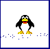 Imagen-animada-Pinguino-12.gif