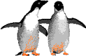 Imagen-animada-Pinguino-23.gif
