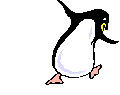 Imagen-animada-Pinguino-24.gif