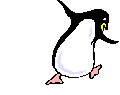Imagen-animada-Pinguino-25.gif