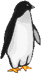 Imagen-animada-Pinguino-31.gif