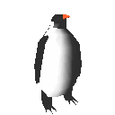 Imagen-animada-Pinguino-32.gif