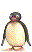 Imagen-animada-Pinguino-55.gif