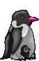 Imagen-animada-Pinguino-58.gif