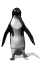 Imagen-animada-Pinguino-61.gif