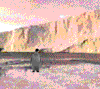 Imagen-animada-Pinguino-67.gif