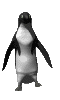 Imagen-animada-Pinguino-70.gif