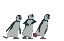 Imagen-animada-Pinguino-78.gif