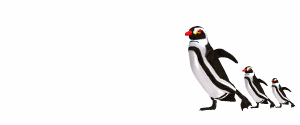 Imagen-animada-Pinguino-80.gif