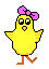 Imagen-animada-Pollito-04.gif