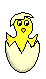 Imagen-animada-Pollito-05.gif