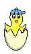 Imagen-animada-Pollito-07.gif