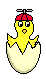 Imagen-animada-Pollito-08.gif