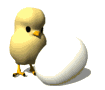 Imagen-animada-Pollito-14.gif