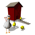 Imagen-animada-Pollito-16.gif
