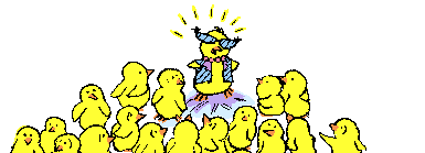 Imagen-animada-Pollito-21.gif