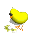Imagen-animada-Pollito-22.gif
