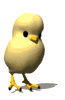 Imagen-animada-Pollito-23.gif