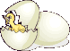 Imagen-animada-Pollito-24.gif