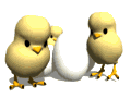 Imagen-animada-Pollito-28.gif