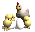 Imagen-animada-Pollito-30.gif