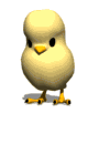 Imagen-animada-Pollito-31.gif