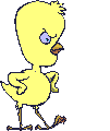 Imagen-animada-Pollo-12.gif