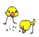 Imagen-animada-Pollo-23.gif
