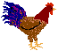 Imagen-animada-Pollo-30.gif