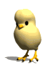 Imagen-animada-Pollo-36.gif