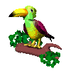 Avatar-Tucan-03.gif