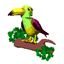Imagen-animada-Tucan-03.gif