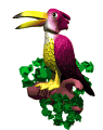 Imagen-animada-Tucan-04.gif