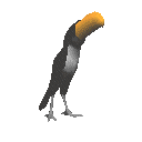 Imagen-animada-Tucan-05.gif