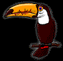 Imagen-animada-Tucan-11.gif