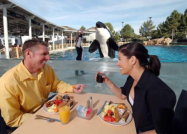 /public/fotos/Dine_Shamu2-02032006_small.jpg