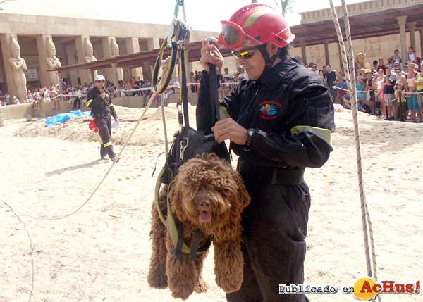 /public/fotos/Exhibicion-del-Perro-de-Trabajo.jpg