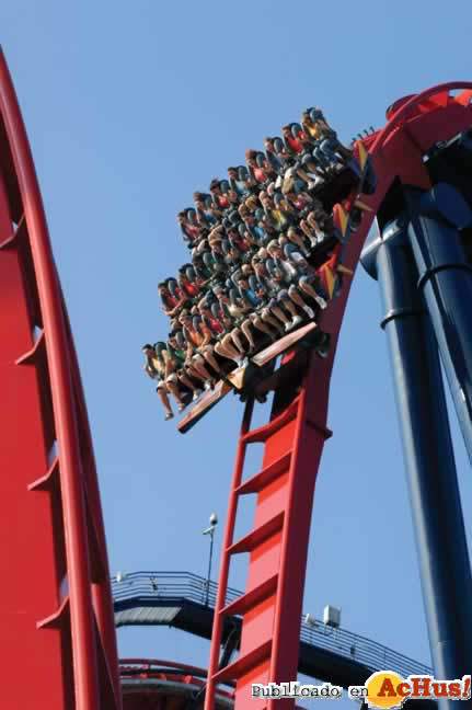 /public/fotos/Floorless_SheiKra_Drop-31012007_small.jpg