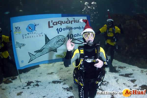/public/fotos/Leo-Messi-se-sumerge-entre-tiburones.jpg