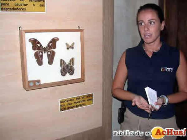 /public/fotos/Naturaleza-misteriosa-el-mundo-de-las-mariposas.jpg