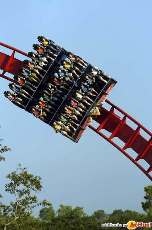 /public/fotos/SHEIKRA2-07022006_1_small.jpg